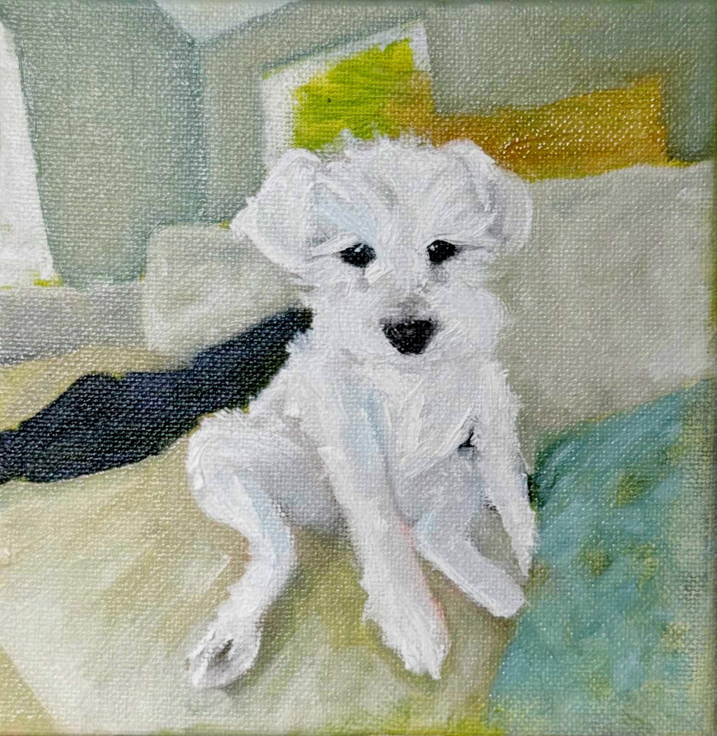 CUSTOM Pet Portraits 6x6" Mounted Canvas, Handmade to Order Oil Paintings