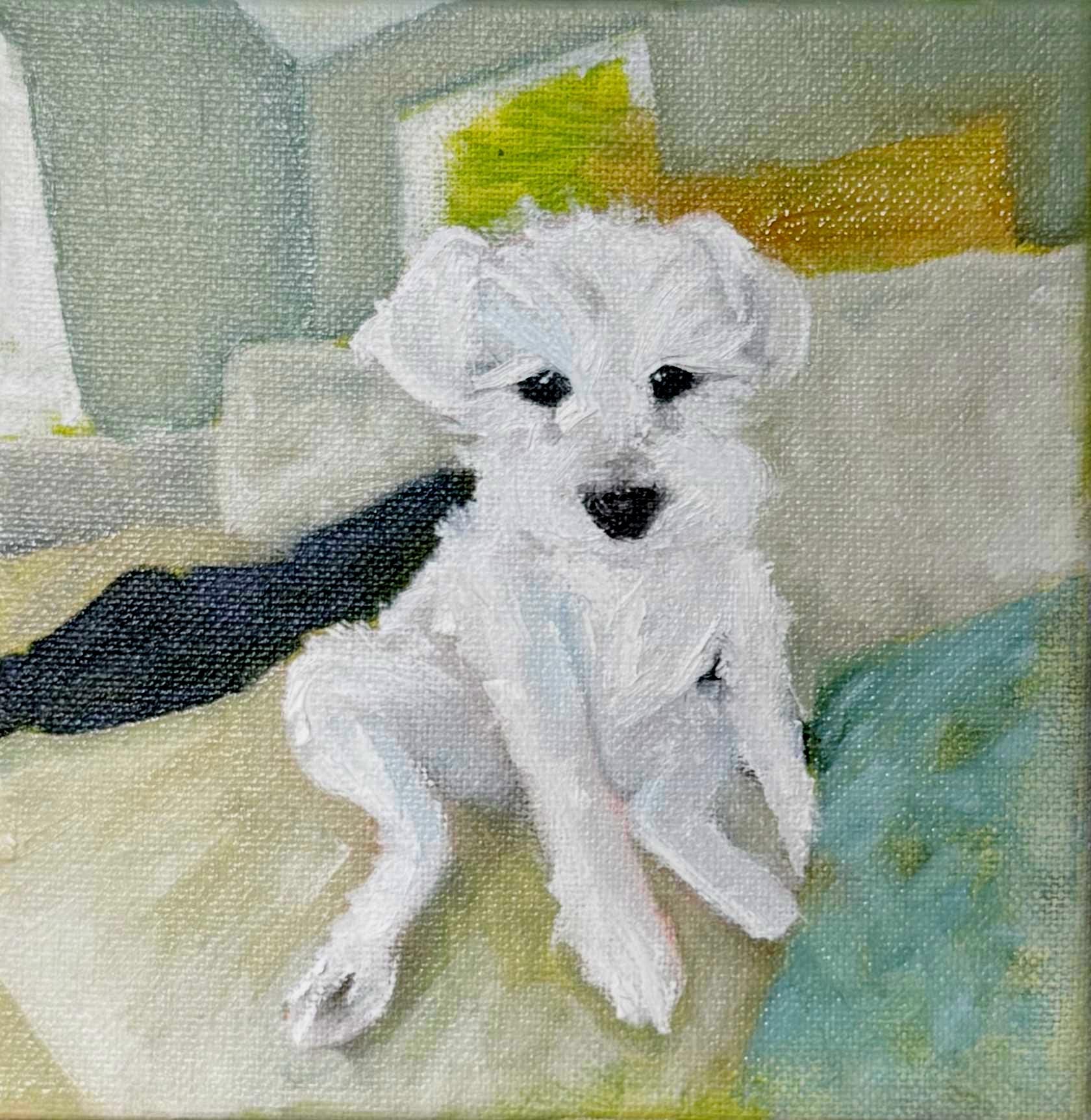 CUSTOM Pet Portraits 6x6" Mounted Canvas, Handmade to Order Oil Paintings